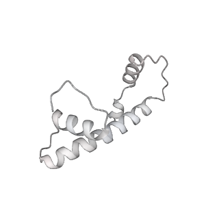 0675_6j50_b_v1-3
RNA polymerase II elongation complex bound with Spt4/5 and foreign DNA, stalled at SHL(-1) of the nucleosome (tilted conformation)