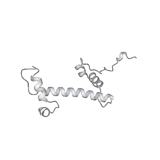 0675_6j50_c_v1-2
RNA polymerase II elongation complex bound with Spt4/5 and foreign DNA, stalled at SHL(-1) of the nucleosome (tilted conformation)