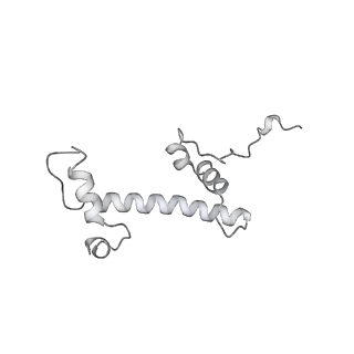 0675_6j50_c_v1-3
RNA polymerase II elongation complex bound with Spt4/5 and foreign DNA, stalled at SHL(-1) of the nucleosome (tilted conformation)