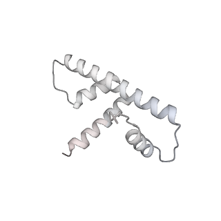 0675_6j50_d_v1-3
RNA polymerase II elongation complex bound with Spt4/5 and foreign DNA, stalled at SHL(-1) of the nucleosome (tilted conformation)