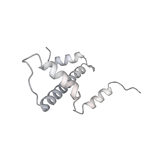 0675_6j50_e_v1-3
RNA polymerase II elongation complex bound with Spt4/5 and foreign DNA, stalled at SHL(-1) of the nucleosome (tilted conformation)