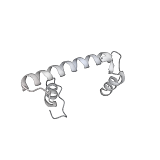 0675_6j50_f_v1-3
RNA polymerase II elongation complex bound with Spt4/5 and foreign DNA, stalled at SHL(-1) of the nucleosome (tilted conformation)