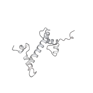 0675_6j50_g_v1-2
RNA polymerase II elongation complex bound with Spt4/5 and foreign DNA, stalled at SHL(-1) of the nucleosome (tilted conformation)
