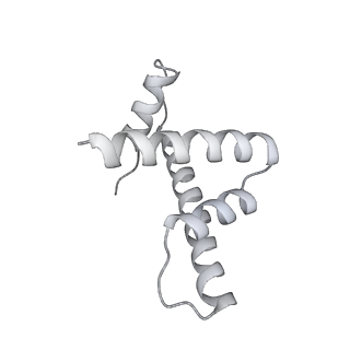 0675_6j50_h_v1-3
RNA polymerase II elongation complex bound with Spt4/5 and foreign DNA, stalled at SHL(-1) of the nucleosome (tilted conformation)