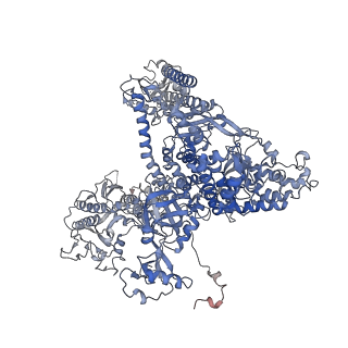 0676_6j51_A_v1-3
RNA polymerase II elongation complex bound with Spt4/5 and foreign DNA, stalled at SHL(-1) of the nucleosome, weak Elf1 (+1 position)