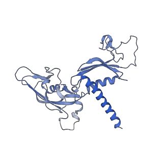 0676_6j51_C_v1-2
RNA polymerase II elongation complex bound with Spt4/5 and foreign DNA, stalled at SHL(-1) of the nucleosome, weak Elf1 (+1 position)