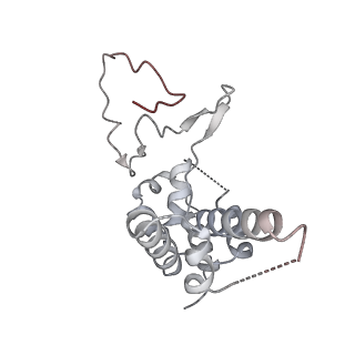 0676_6j51_D_v1-2
RNA polymerase II elongation complex bound with Spt4/5 and foreign DNA, stalled at SHL(-1) of the nucleosome, weak Elf1 (+1 position)