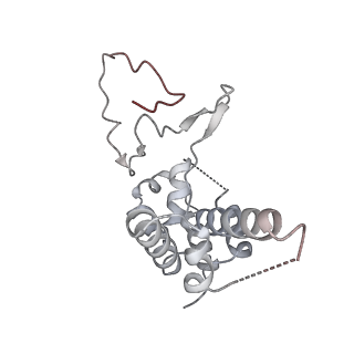 0676_6j51_D_v1-3
RNA polymerase II elongation complex bound with Spt4/5 and foreign DNA, stalled at SHL(-1) of the nucleosome, weak Elf1 (+1 position)