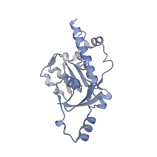 0676_6j51_E_v1-3
RNA polymerase II elongation complex bound with Spt4/5 and foreign DNA, stalled at SHL(-1) of the nucleosome, weak Elf1 (+1 position)