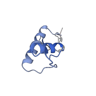 0676_6j51_F_v1-2
RNA polymerase II elongation complex bound with Spt4/5 and foreign DNA, stalled at SHL(-1) of the nucleosome, weak Elf1 (+1 position)