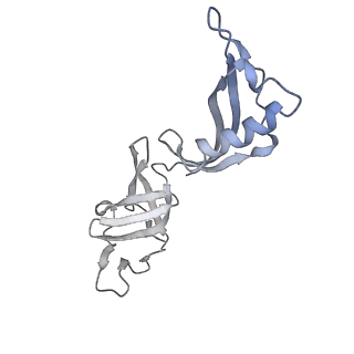 0676_6j51_G_v1-3
RNA polymerase II elongation complex bound with Spt4/5 and foreign DNA, stalled at SHL(-1) of the nucleosome, weak Elf1 (+1 position)