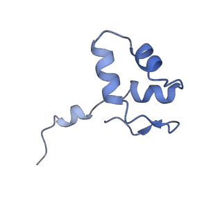 0676_6j51_J_v1-2
RNA polymerase II elongation complex bound with Spt4/5 and foreign DNA, stalled at SHL(-1) of the nucleosome, weak Elf1 (+1 position)
