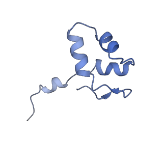 0676_6j51_J_v1-3
RNA polymerase II elongation complex bound with Spt4/5 and foreign DNA, stalled at SHL(-1) of the nucleosome, weak Elf1 (+1 position)