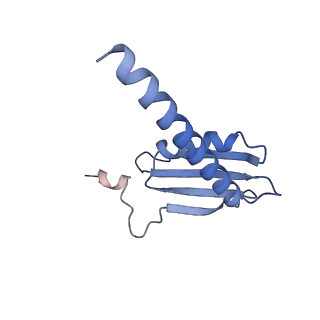0676_6j51_K_v1-2
RNA polymerase II elongation complex bound with Spt4/5 and foreign DNA, stalled at SHL(-1) of the nucleosome, weak Elf1 (+1 position)