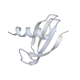 0676_6j51_M_v1-3
RNA polymerase II elongation complex bound with Spt4/5 and foreign DNA, stalled at SHL(-1) of the nucleosome, weak Elf1 (+1 position)