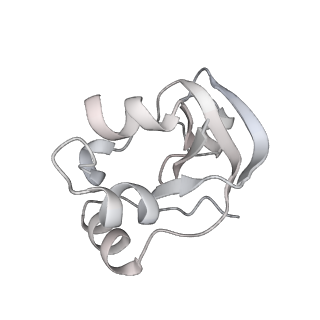 0676_6j51_V_v1-3
RNA polymerase II elongation complex bound with Spt4/5 and foreign DNA, stalled at SHL(-1) of the nucleosome, weak Elf1 (+1 position)