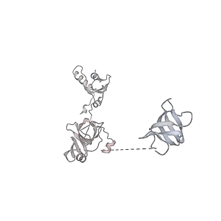 0676_6j51_W_v1-3
RNA polymerase II elongation complex bound with Spt4/5 and foreign DNA, stalled at SHL(-1) of the nucleosome, weak Elf1 (+1 position)