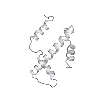 0676_6j51_a_v1-2
RNA polymerase II elongation complex bound with Spt4/5 and foreign DNA, stalled at SHL(-1) of the nucleosome, weak Elf1 (+1 position)