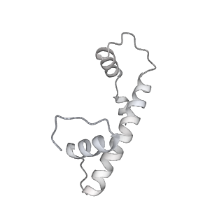 0676_6j51_b_v1-3
RNA polymerase II elongation complex bound with Spt4/5 and foreign DNA, stalled at SHL(-1) of the nucleosome, weak Elf1 (+1 position)