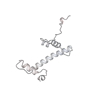 0676_6j51_c_v1-2
RNA polymerase II elongation complex bound with Spt4/5 and foreign DNA, stalled at SHL(-1) of the nucleosome, weak Elf1 (+1 position)