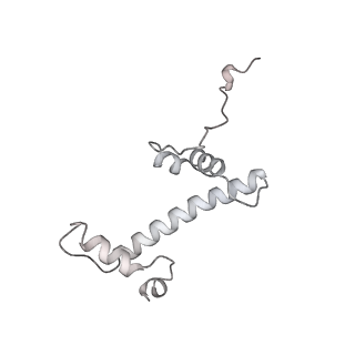 0676_6j51_c_v1-3
RNA polymerase II elongation complex bound with Spt4/5 and foreign DNA, stalled at SHL(-1) of the nucleosome, weak Elf1 (+1 position)