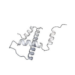 0676_6j51_e_v1-3
RNA polymerase II elongation complex bound with Spt4/5 and foreign DNA, stalled at SHL(-1) of the nucleosome, weak Elf1 (+1 position)