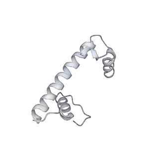 0676_6j51_f_v1-3
RNA polymerase II elongation complex bound with Spt4/5 and foreign DNA, stalled at SHL(-1) of the nucleosome, weak Elf1 (+1 position)