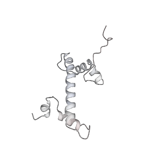 0676_6j51_g_v1-2
RNA polymerase II elongation complex bound with Spt4/5 and foreign DNA, stalled at SHL(-1) of the nucleosome, weak Elf1 (+1 position)