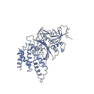 0677_6j5i_A_v1-1
Cryo-EM structure of the mammalian DP-state ATP synthase