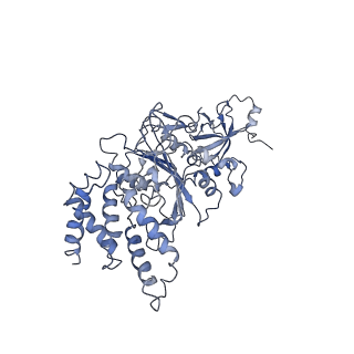 0677_6j5i_A_v1-2
Cryo-EM structure of the mammalian DP-state ATP synthase