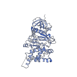 0677_6j5i_B_v1-1
Cryo-EM structure of the mammalian DP-state ATP synthase