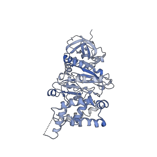 0677_6j5i_B_v1-2
Cryo-EM structure of the mammalian DP-state ATP synthase