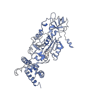 0677_6j5i_C_v1-1
Cryo-EM structure of the mammalian DP-state ATP synthase