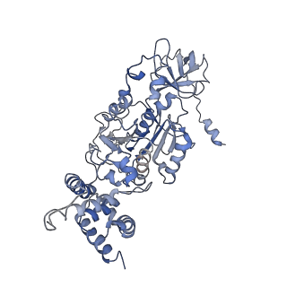 0677_6j5i_C_v1-2
Cryo-EM structure of the mammalian DP-state ATP synthase