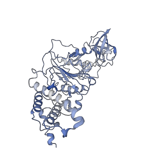0677_6j5i_D_v1-1
Cryo-EM structure of the mammalian DP-state ATP synthase