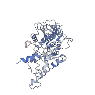 0677_6j5i_E_v1-1
Cryo-EM structure of the mammalian DP-state ATP synthase