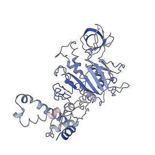 0677_6j5i_F_v1-1
Cryo-EM structure of the mammalian DP-state ATP synthase