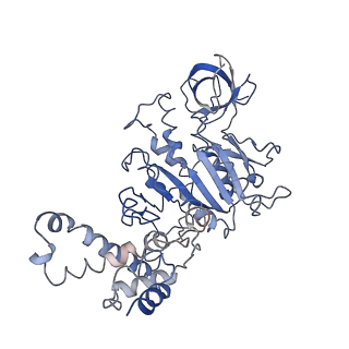 0677_6j5i_F_v1-2
Cryo-EM structure of the mammalian DP-state ATP synthase