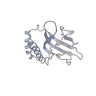 0677_6j5i_H_v1-1
Cryo-EM structure of the mammalian DP-state ATP synthase