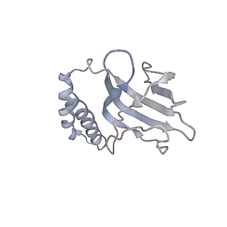 0677_6j5i_H_v1-2
Cryo-EM structure of the mammalian DP-state ATP synthase