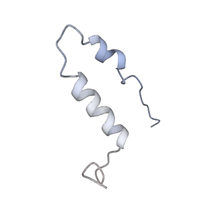 0677_6j5i_I_v1-1
Cryo-EM structure of the mammalian DP-state ATP synthase