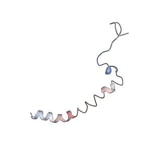 0677_6j5i_J_v1-1
Cryo-EM structure of the mammalian DP-state ATP synthase