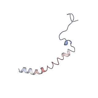 0677_6j5i_J_v1-2
Cryo-EM structure of the mammalian DP-state ATP synthase