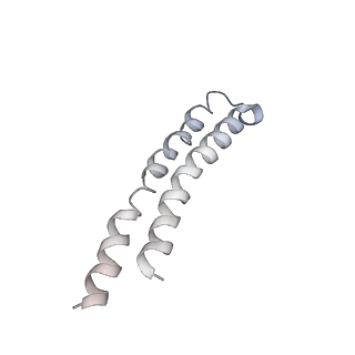 0677_6j5i_L_v1-2
Cryo-EM structure of the mammalian DP-state ATP synthase