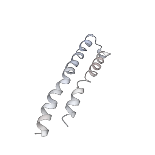 0677_6j5i_M_v1-2
Cryo-EM structure of the mammalian DP-state ATP synthase