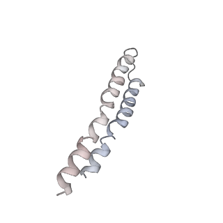 0677_6j5i_N_v1-2
Cryo-EM structure of the mammalian DP-state ATP synthase