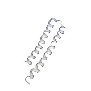 0677_6j5i_Q_v1-2
Cryo-EM structure of the mammalian DP-state ATP synthase