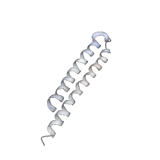 0677_6j5i_R_v1-2
Cryo-EM structure of the mammalian DP-state ATP synthase