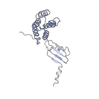 0677_6j5i_S_v1-1
Cryo-EM structure of the mammalian DP-state ATP synthase