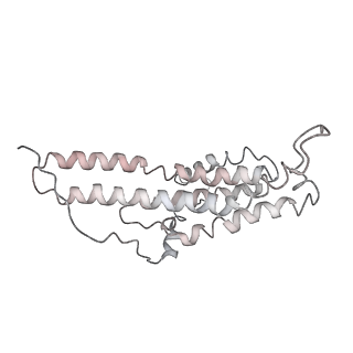 0677_6j5i_a_v1-1
Cryo-EM structure of the mammalian DP-state ATP synthase